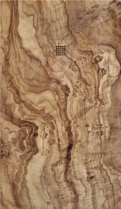 PLATO DUCHA STONE 3D OLIVO 01